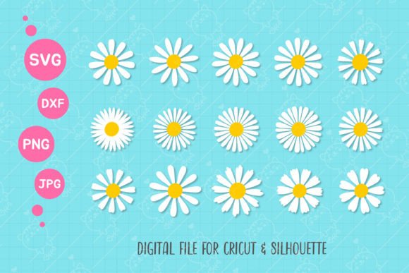 Daisy Flower SVG Daisy Floral PNG